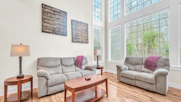 Smart TV, fireplace, video games, DVD player