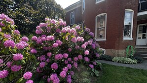 A residential building with a brick facade, a well-maintained garden with pink flowering shrubs, and a neatly trimmed lawn. - Spacious Historic Home: 4 bedrooms, 2.5 bath (New Oxford)