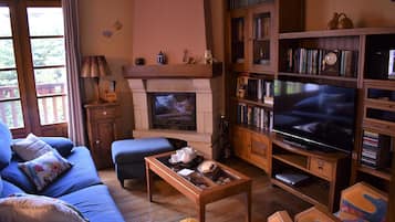 Smart TV, fireplace, DVD player, books