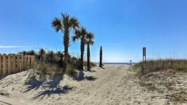 A sandy beach path with palm trees and a wooden fence. - Private Pool-View Balcony: Myrtle Beach Condo! (Myrtle Beach)