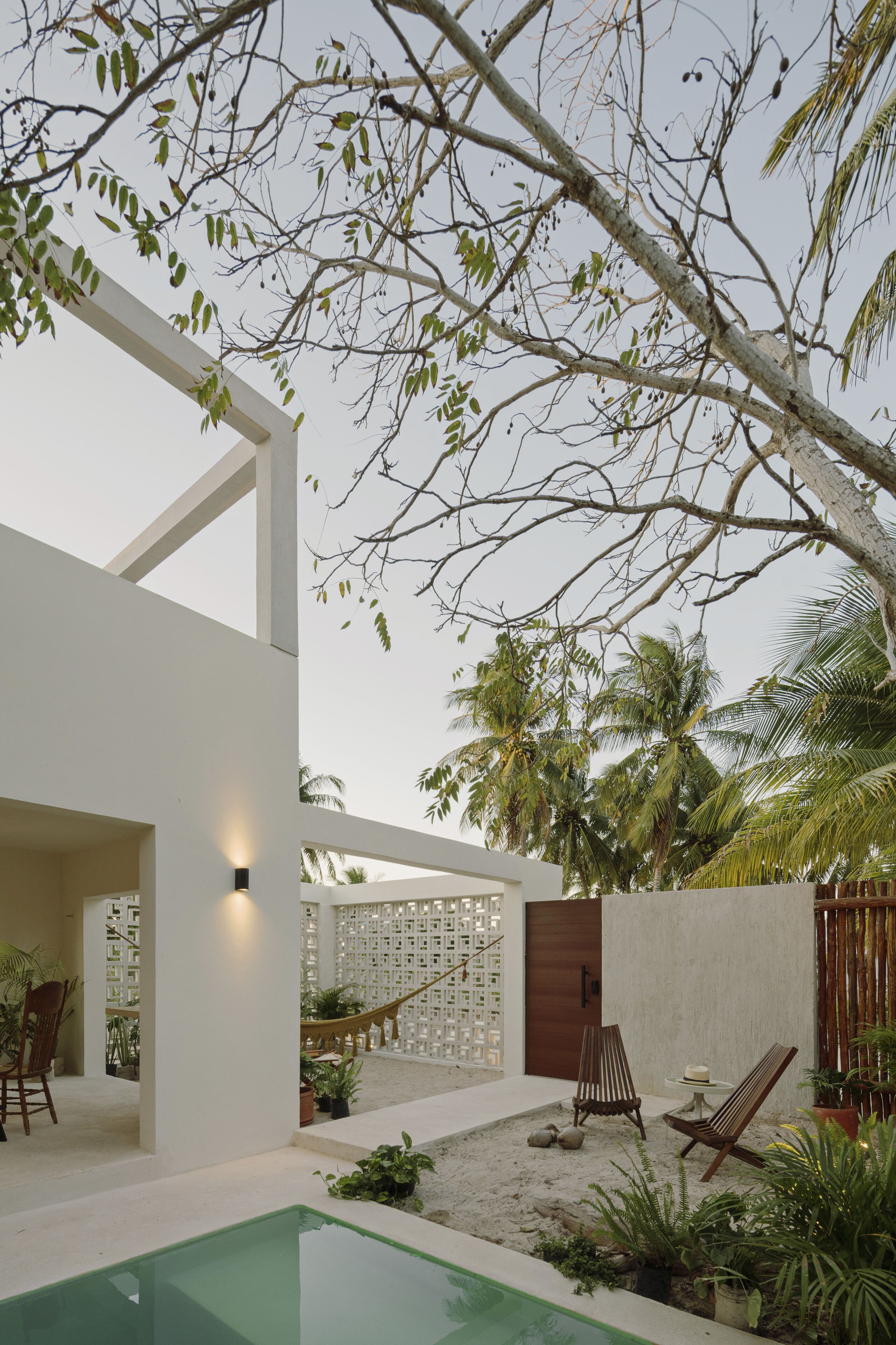 A modern outdoor patio with a pool, seating, and tropical plants.