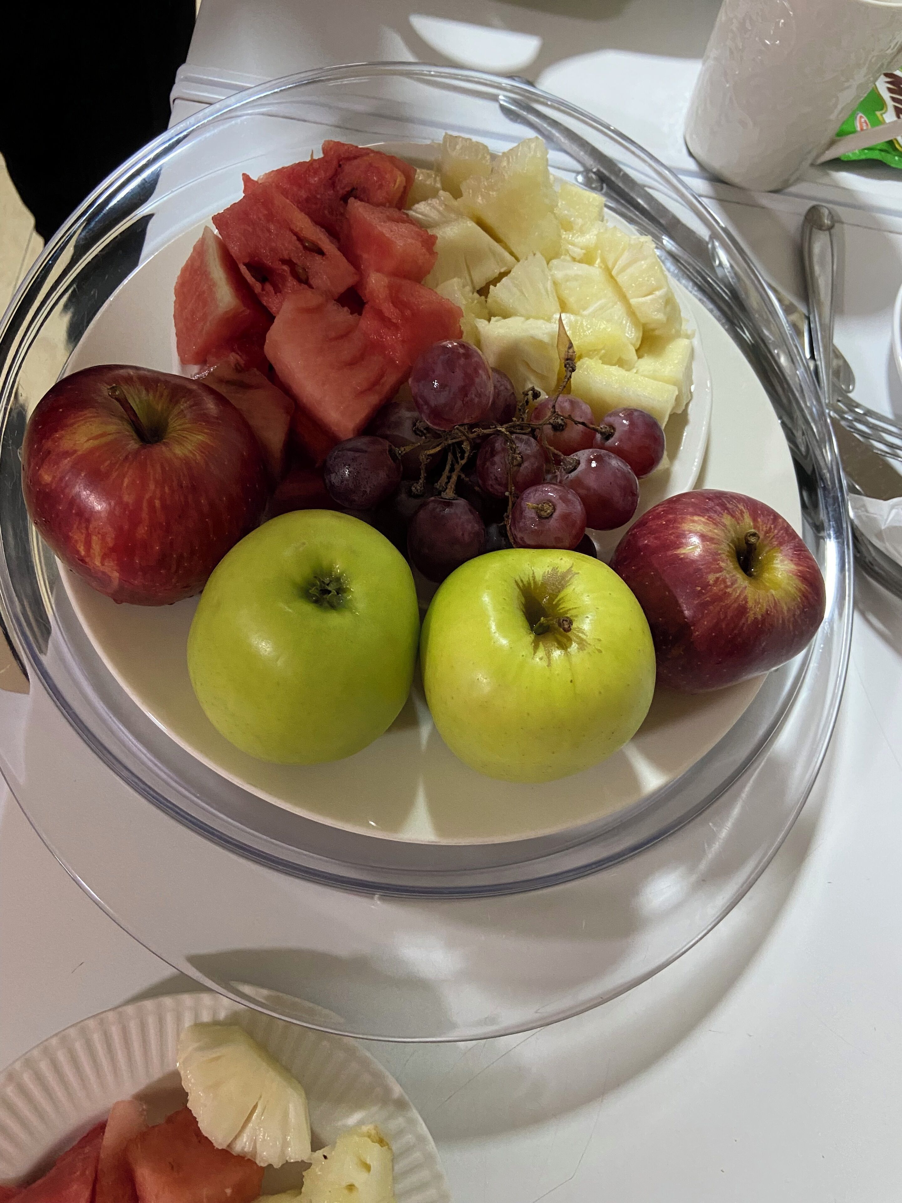 Foto - Selwilliam Hotel