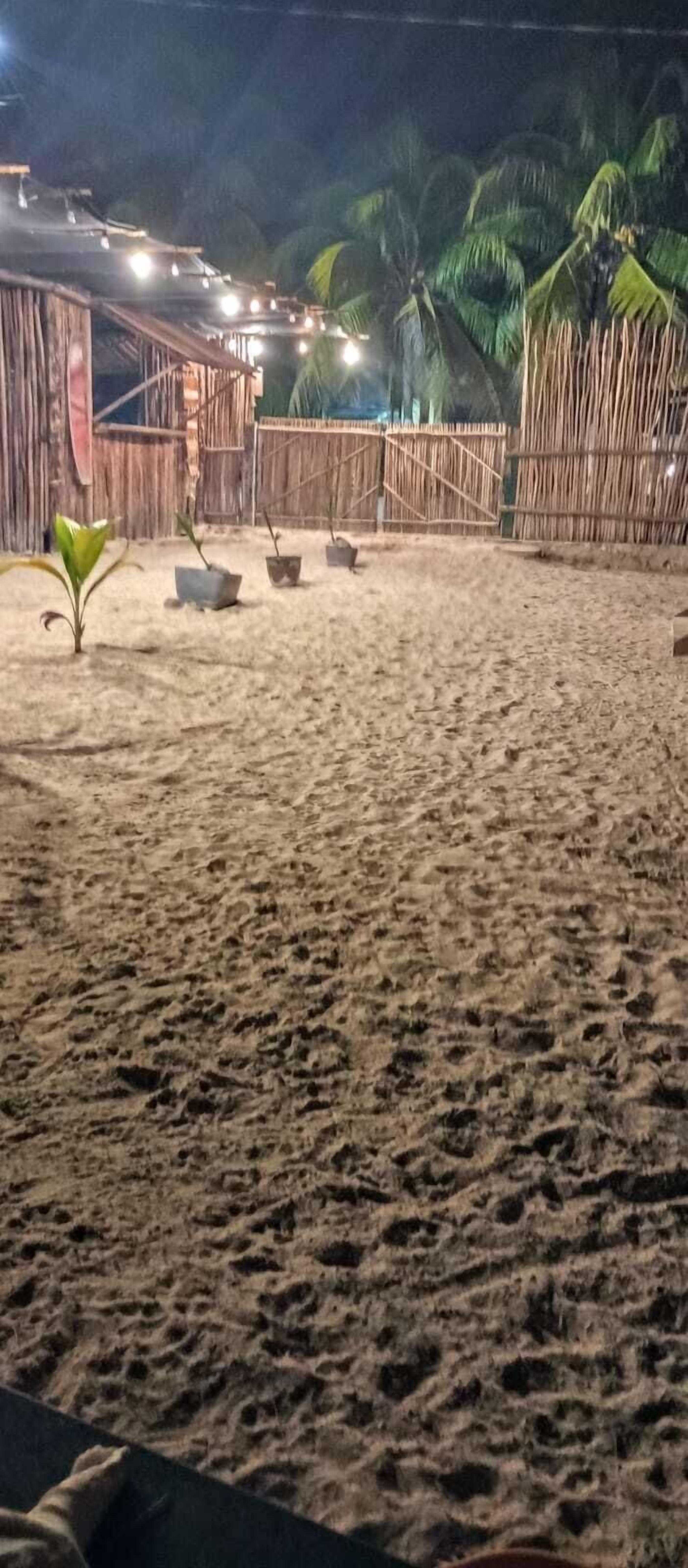 Un espace extérieur sablonneux agrémenté d’une clôture en bambou, de plantes en pot et d’une petite structure illuminée.