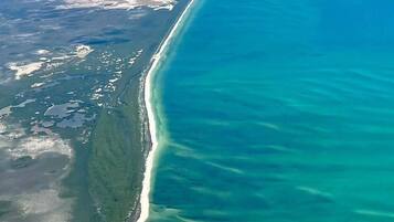 An aerial view of a coastal area with a clear demarcation between land and water, a narrow strip of white sand, and a yellow arrow indicating a specific location.