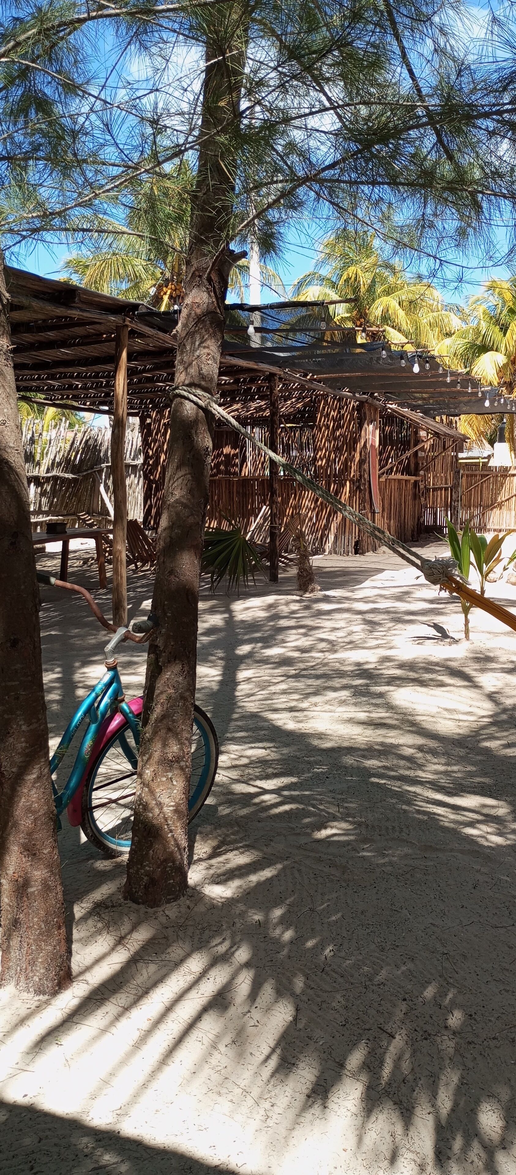 A sandy outdoor area with a bicycle, trees, and a wooden structure.