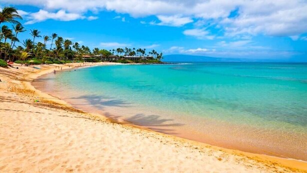 A beach with clear turquoise water, palm trees, and a clear sky. - Modern Beautiful 1BR Napili Bay Get-Away Condo (Lahaina)