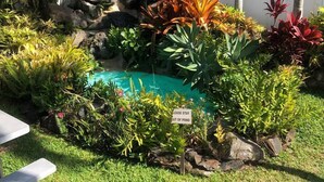 A garden with a pond, various plants, and a 'Please stay out of pond' sign. - Modern Beautiful 1BR Napili Bay Get-Away Condo (Lahaina)