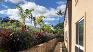 A narrow stone pathway flanked by tropical plants and palm trees, leading to a building with large windows. - Modern Beautiful 1BR Napili Bay Get-Away Condo (Lahaina)