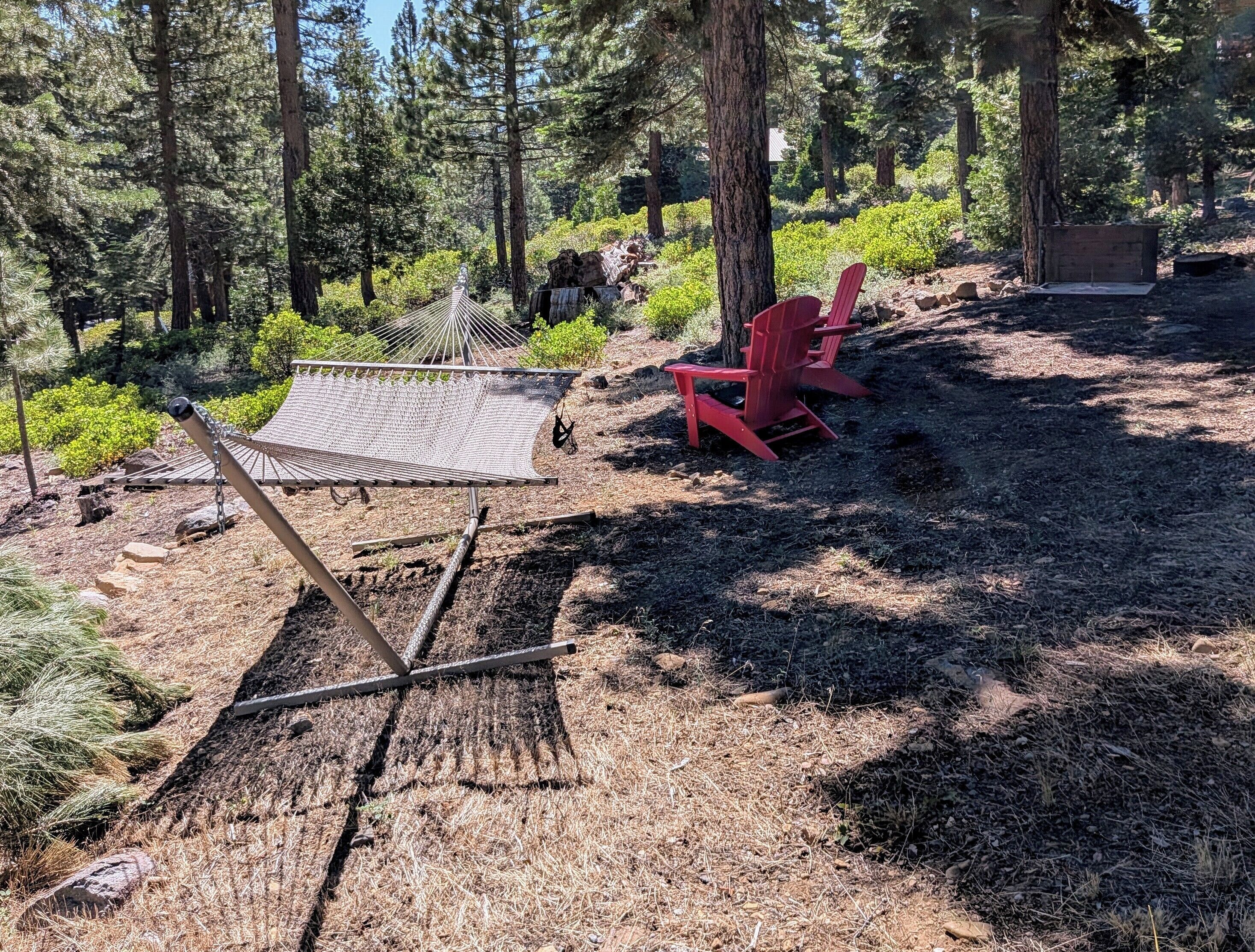 A hammock and red Adirondack chairs in a forested area with a dirt ground.