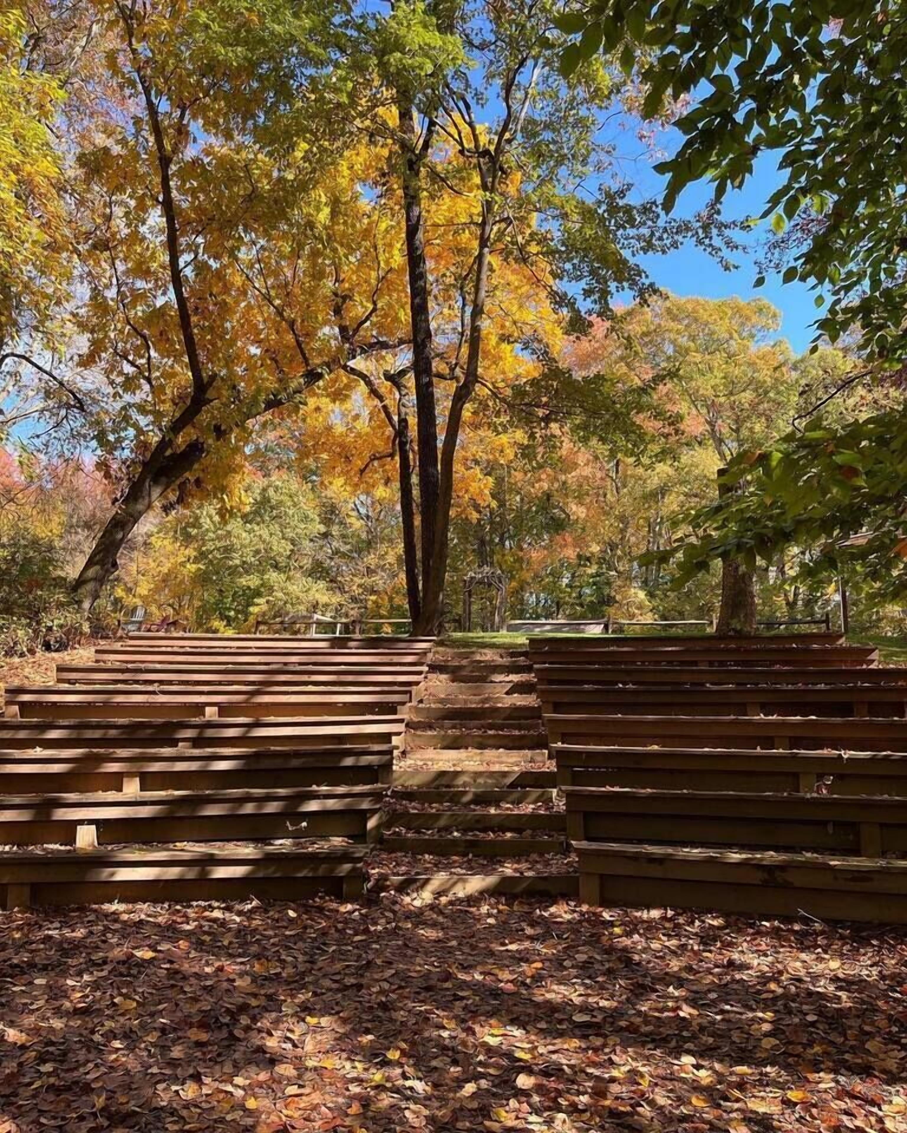 Un parc avec des bancs en bois et un arbre aux feuilles d’automne.