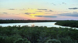 Unclassified image, 5 of 36, button