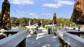 Immagine non classificata, 4 di 36, pulsante