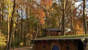 Een rustieke blokhut met rieten dak, een houten deur en een klein terras met Adirondack stoelen.