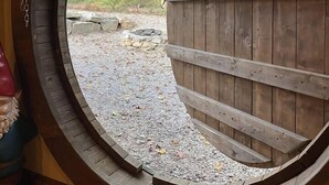 Een ronde houten deur met een metalen handgreep, die uitkomt op een buitengebied met een grindpad en bomen.