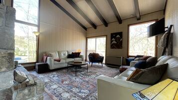 Smart TV, chimenea y libros