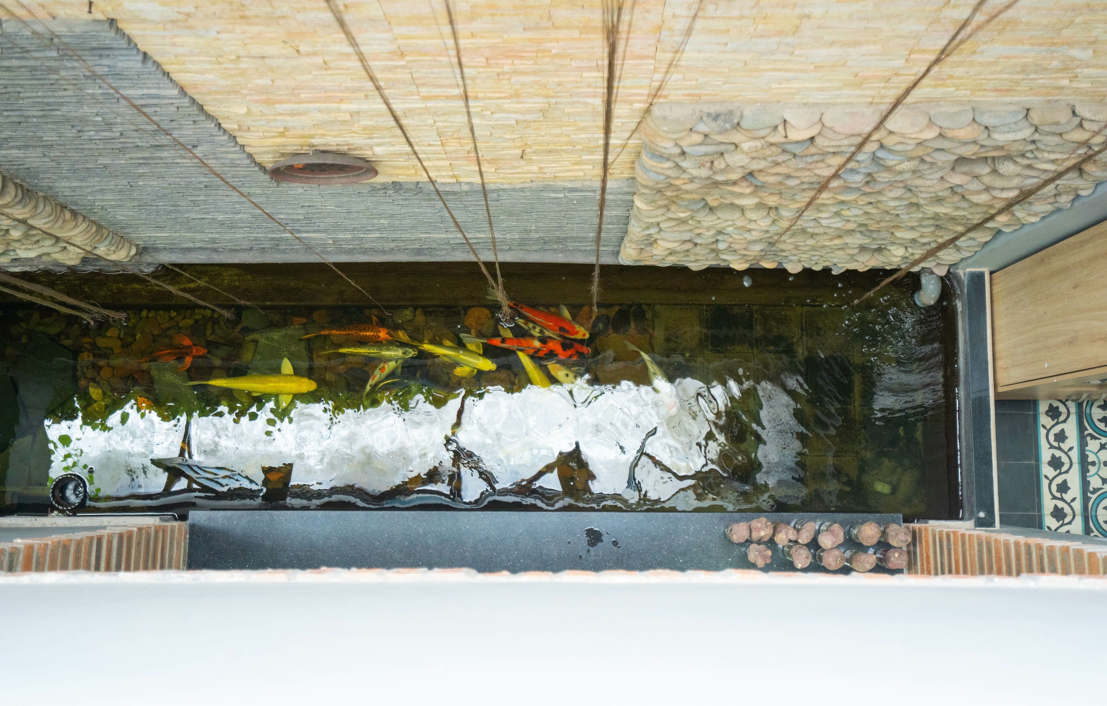 Foto - Tâm Family Homestay-Huế