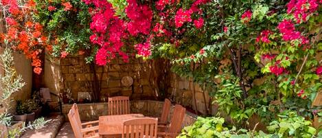 Servei de restauració a l'aire lliure