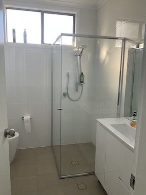 Bathroom features a glass-enclosed shower, handheld showerhead, and wall-mounted faucet.