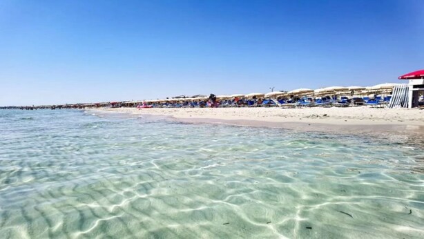 Une plage avec une eau claire et peu profonde, un rivage sablonneux et des rangées de parasols et de chaises longues.