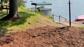 A lakeside view with a dock, a covered picnic table, and a lamp post. - Lake St Catherine Cabin For Two with deck and lake access (Poultney)