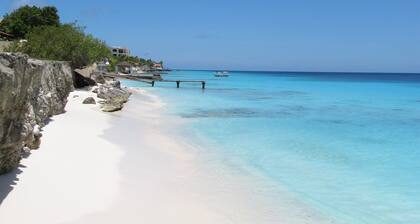 Your Bonaire Escape: 2BR Pool House at Bachelors Beach