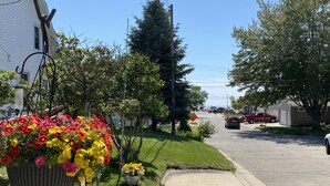 Une rue résidentielle bordée de maisons, avec un trottoir et un grand pot de fleurs rempli de fleurs aux couleurs vives.