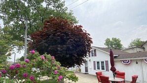 Un espace patio avec une table ronde et des chaises rouges, une maison blanche avec des volets rouges et un arbre aux feuilles d’automne.