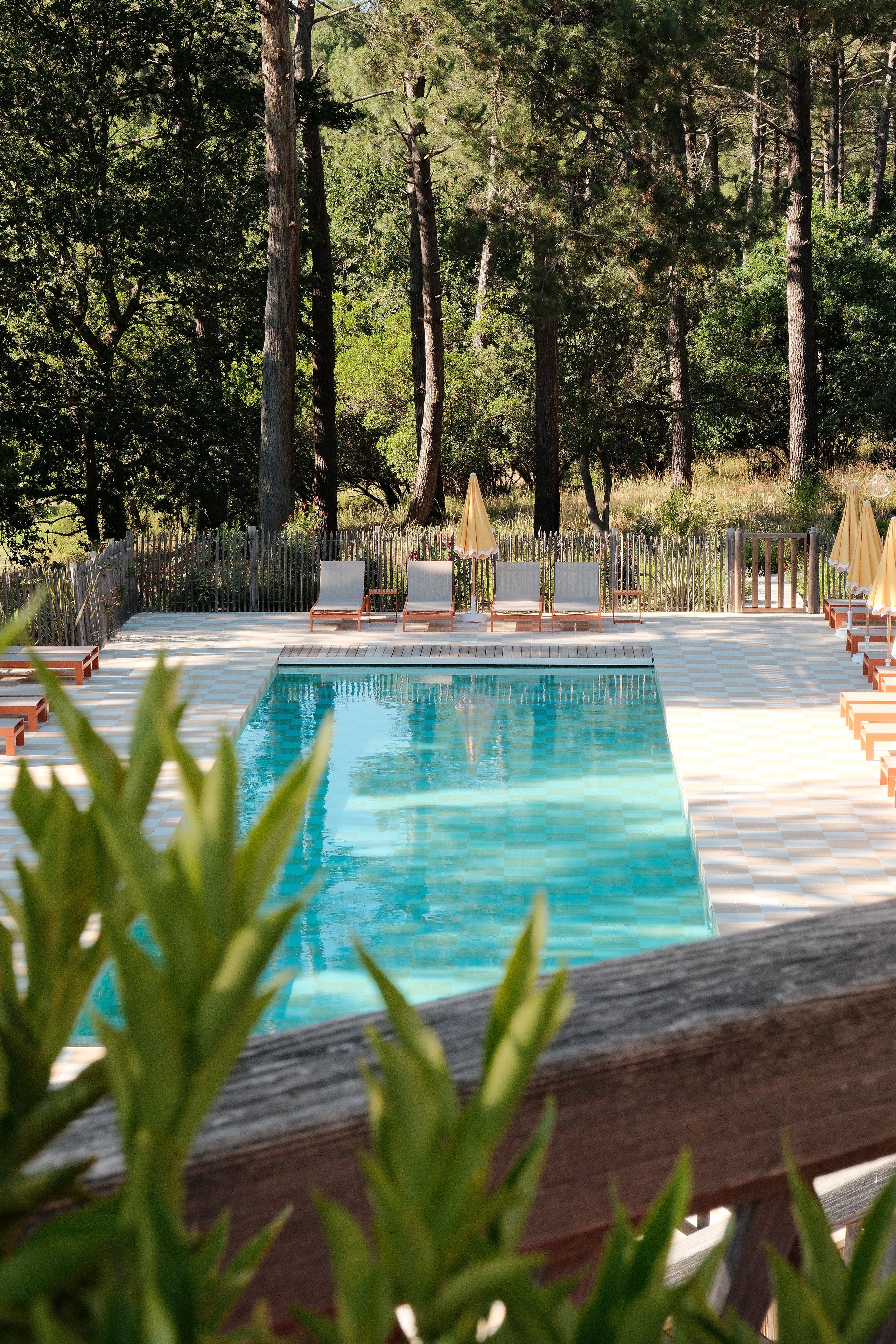 Une piscine rectangulaire avec une terrasse carrelée, entourée d’une clôture en bois et d’arbres.