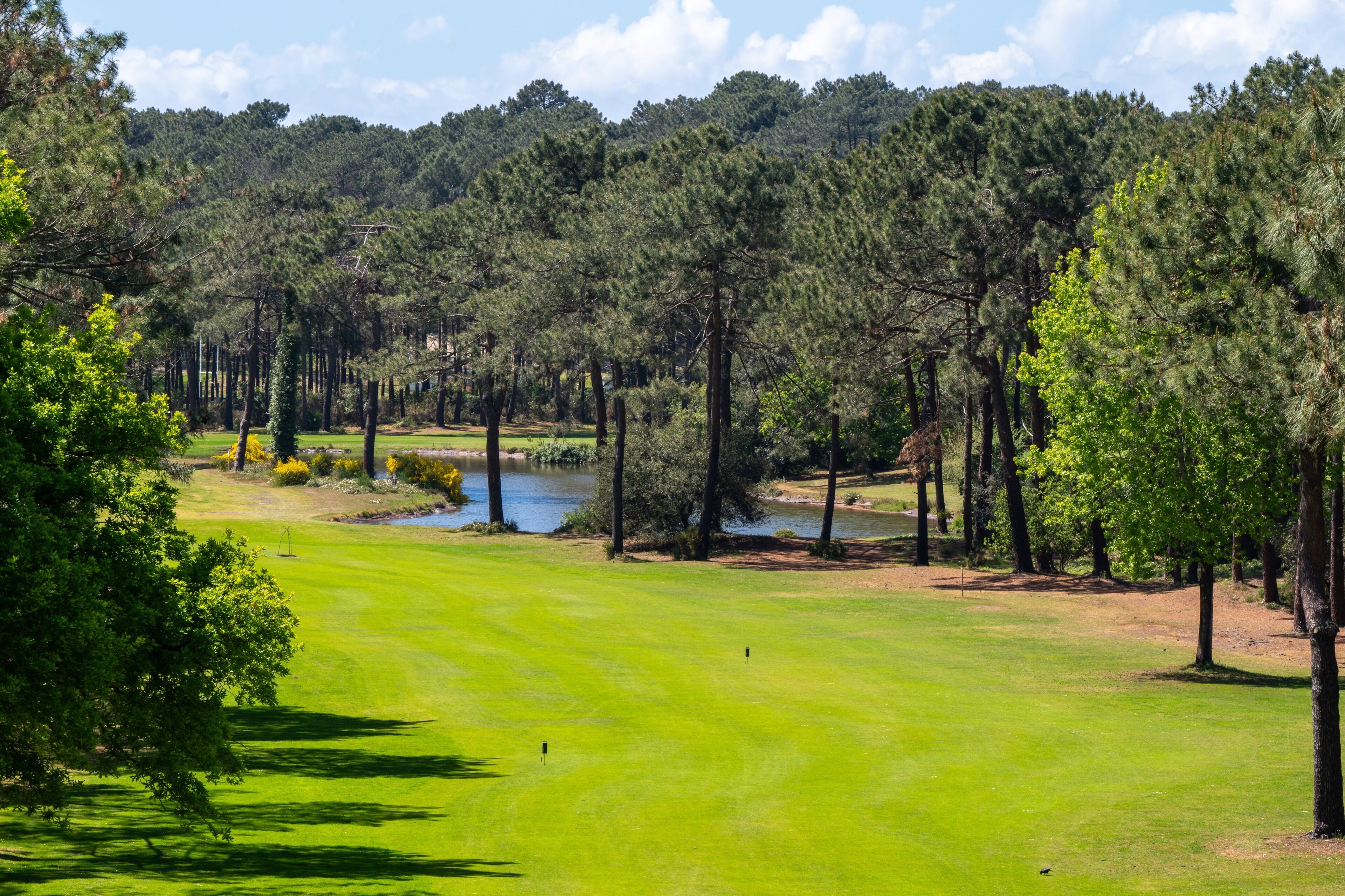 Un parcours de golf avec un étang, entouré d’arbres et sous un ciel dégagé.