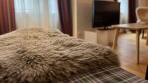 A room with a fur-covered ottoman, a television on a stand, and a chair. - Charmant T3 - Cœur de Cauterets (Cauterets)