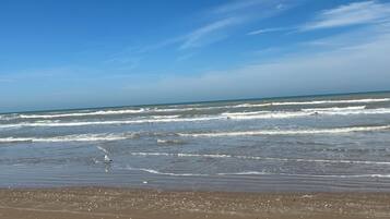 Beach nearby, sun loungers, beach towels