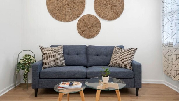 A modern living room with a grey sofa, two patterned throw pillows, a glass coffee table with a book and a plant, and three large circular wall decorations.