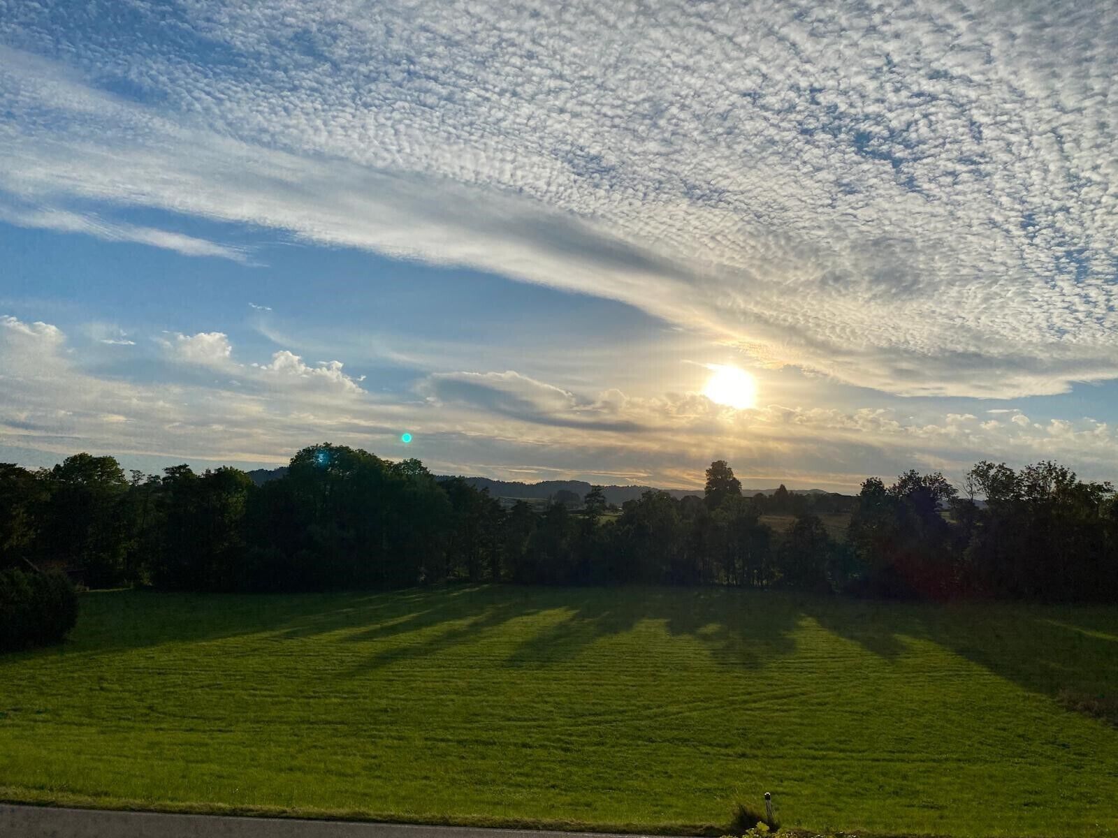 Een grasveld met een heldere lucht en een ondergaande of opgaande zon.