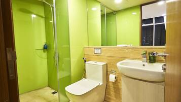 Regadera, secadora de cabello, bidet, toallas