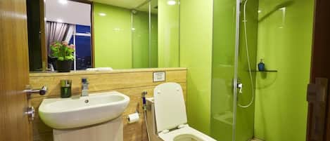 Shower, hair dryer, bidet, towels