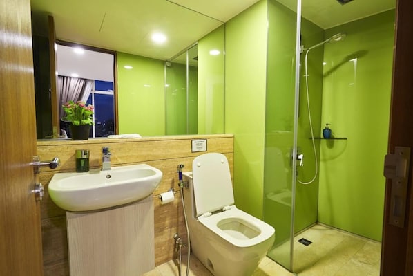 Shower, hair dryer, bidet, towels