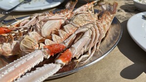Un plateau de fruits de mer avec des crabes, présenté sur un plateau en métal, entouré d’assiettes de salade et d’autres plats.