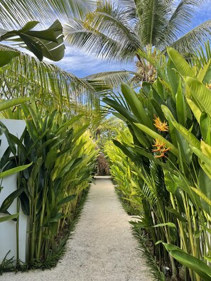 A pathway flanked by lush tropical plants and palm trees, leading to a stone structure. - Kalea Villas (Kuta)