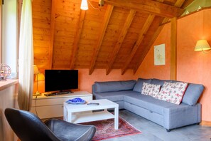 TV, fireplace, DVD player