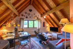 TV, fireplace, DVD player - Apartment 'Lodjadis' with Mountain View, Private Garden and Wi-Fi (Labaroche)