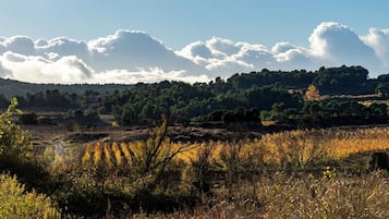 Un paysage comprenant une vallée, des arbres et un ciel dégagé.