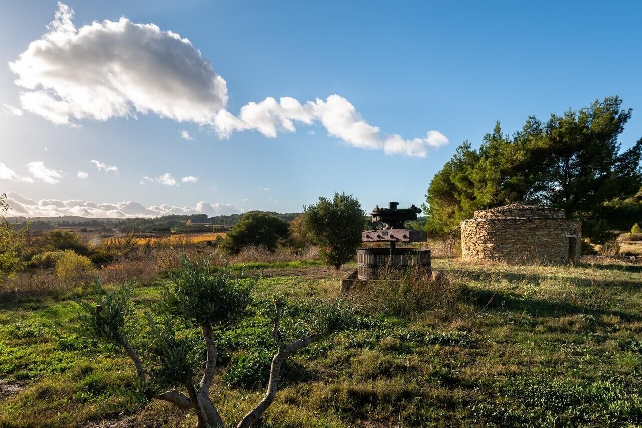 Un paysage rural avec une construction en pierre, un petit bâtiment en bois et un arbre.