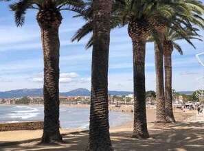 A beach with palm trees and a view of the ocean and distant mountains.