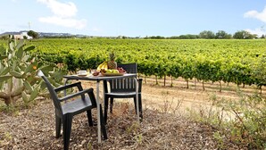 Une table entourée de chaises, située dans un vignoble.