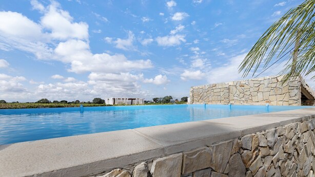 A swimming pool with a stone wall, a palm tree, and a building in the background. - Casa Verdelho – Retreat Among Vineyards with Lounge, Playground, and Shared Pool (Palmela)