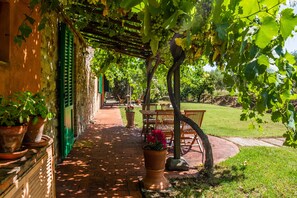 Terrass/Patio
