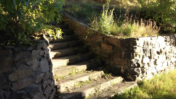 Una escalera de piedra que asciende por una colina cubierta de hierba, rodeada de follaje.