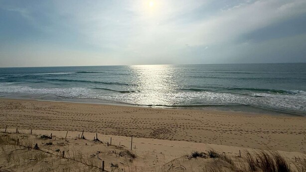 Ein Strand mit sandigem Ufer und sanften Wellen.