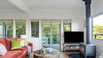 Älytelevisio, takka, kirjoja, työhuone