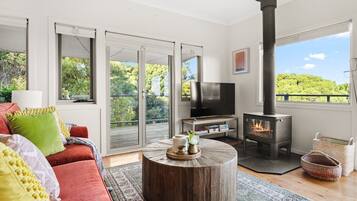 Smart TV, fireplace, books, offices